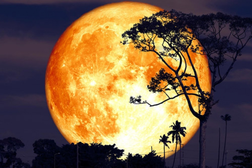 O que esperar de uma Lua cheia em Sagitário e os vários eventos, Eclipse e Super Lua.